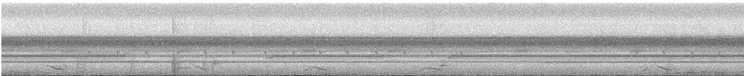 Pacific Screech-Owl (lambi) - ML644157651