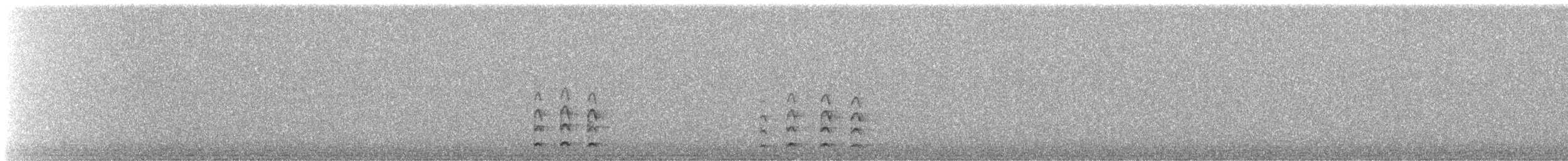 Gallinule poule-d'eau - ML644157745