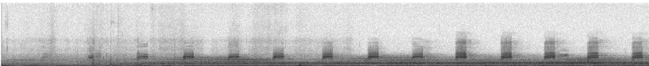 Ánade Sombrío - ML644157884