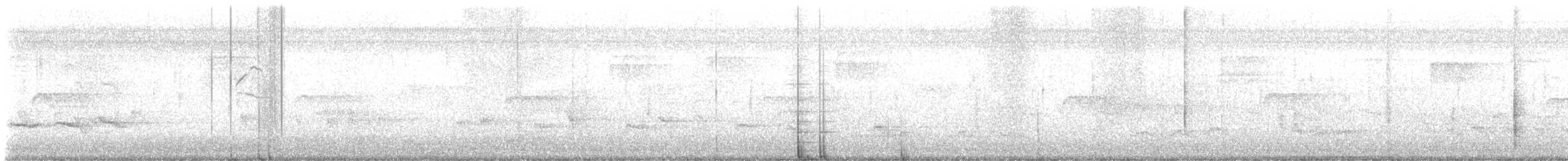 Northern Mockingbird - ML644160075