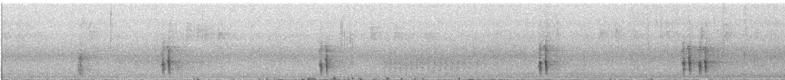 Elster - ML644160436