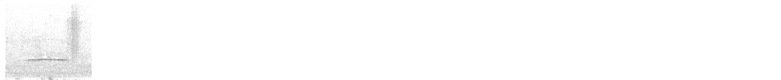 Western Wood-Pewee - ML644161780