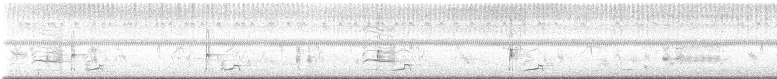 Groove-billed Ani - ML644162163