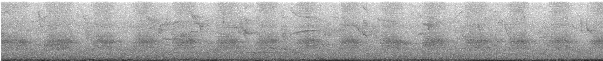 Bindenameisenwürger - ML644162798