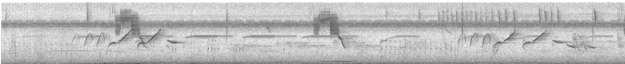 hvitkragefrøeter - ML644163044