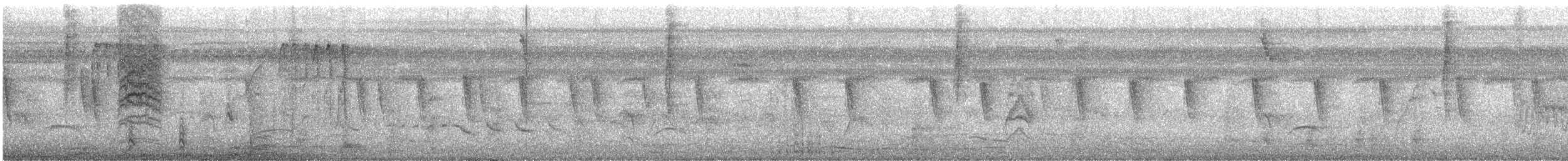 sangtrupial - ML644163090