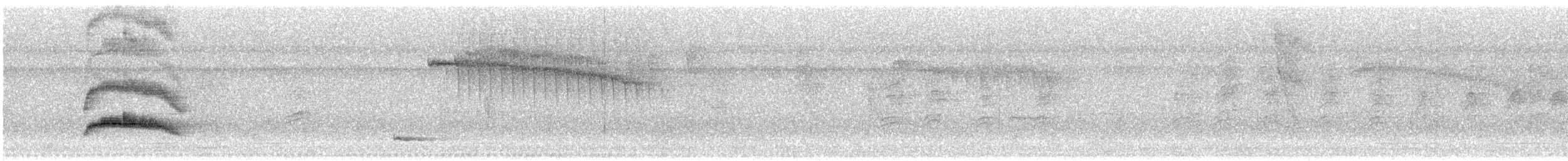 Yellow-bellied Elaenia - ML644164512