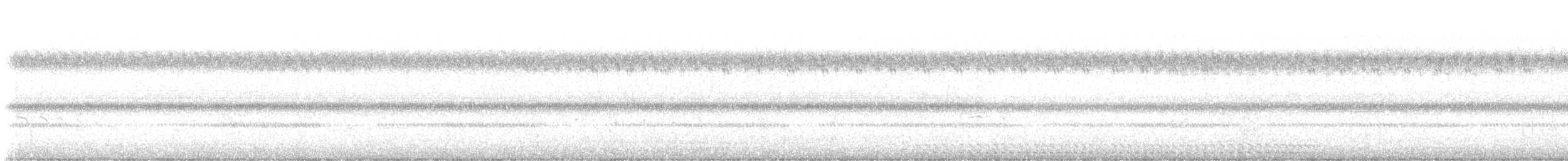 Eastern Screech-Owl (McCall's) - ML644165808