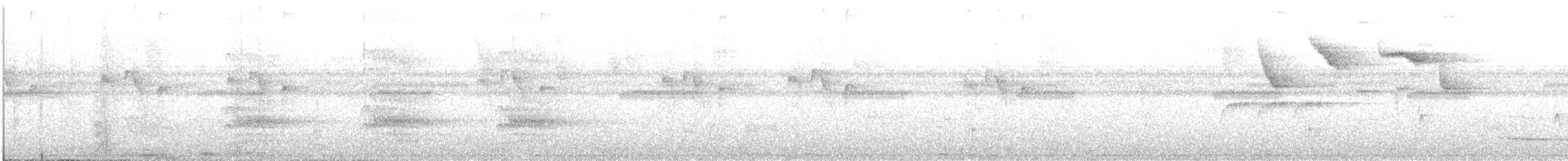 Tamatia de Lafresnaye - ML644167993