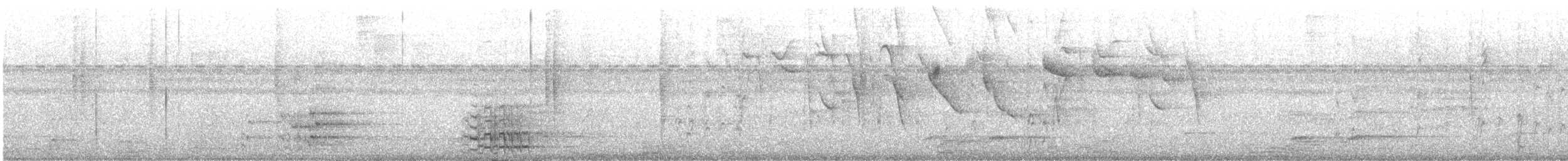 ムジボウシインコ - ML644168036