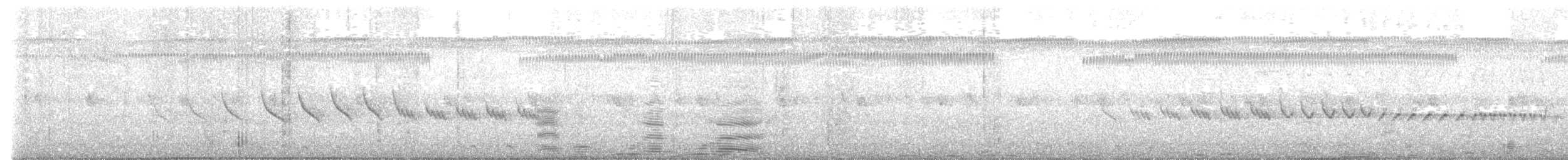 Ереса смугастогорла (підвид striatigula/sclateri) - ML644168897