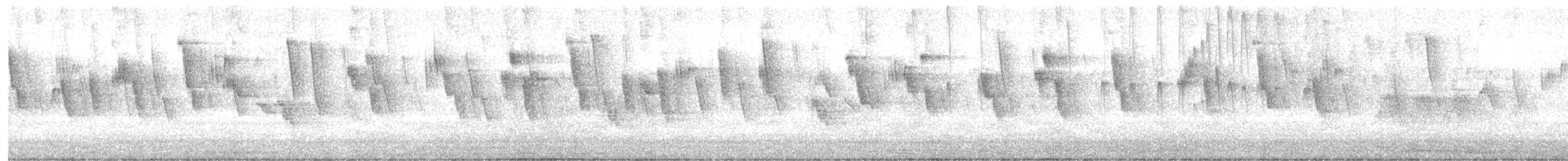 Vencejo de Tormenta - ML644169385