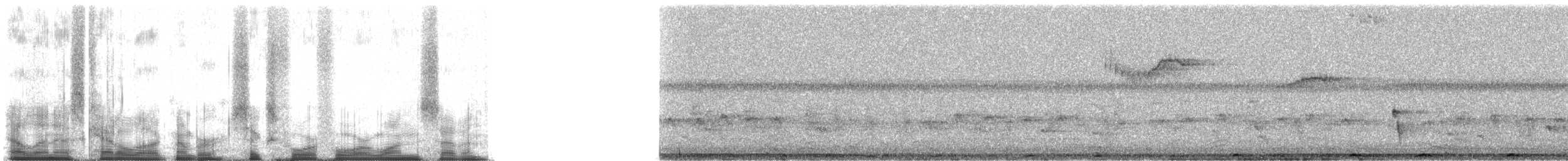 Fiji Streaked Fantail - ML64417