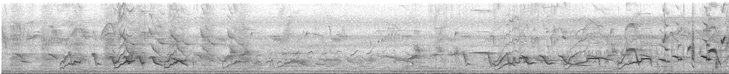glattnebbani - ML644170151