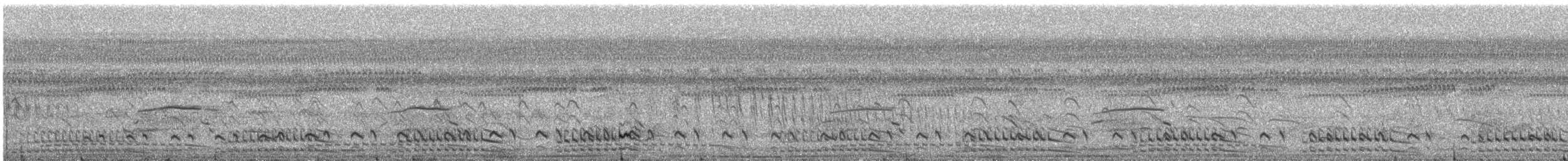 Ash-throated Crake - ML644171668