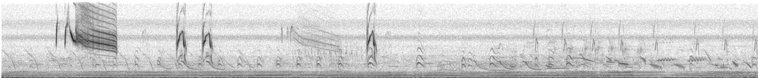 Yellowish Pipit - ML644171686