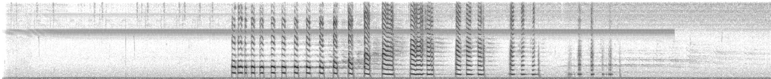 Gallinule d'Amérique - ML644171765