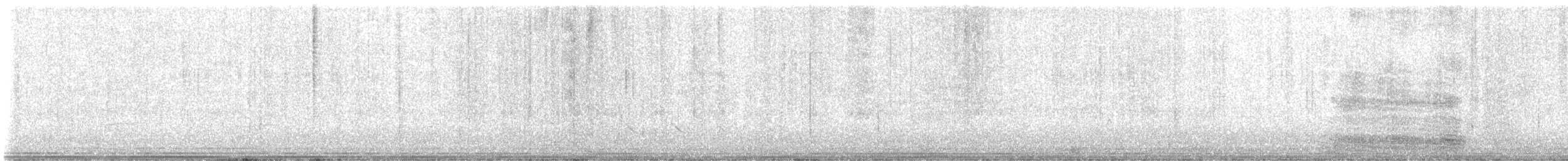 Aigrette bleue - ML644171790