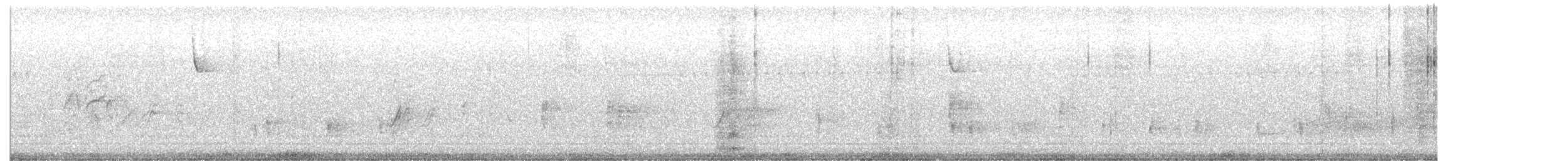 Ring-necked Pheasant - ML644172060