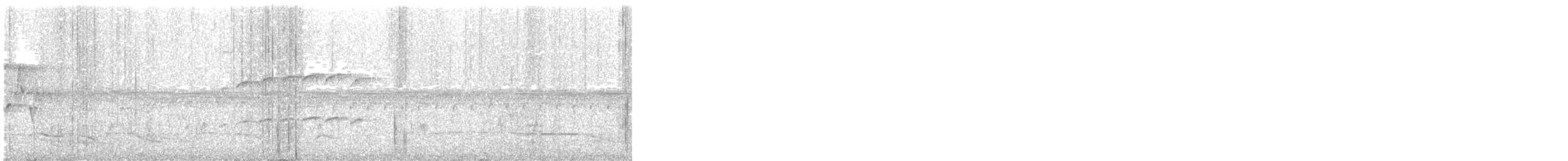 Schlegel's Asity - ML644172626