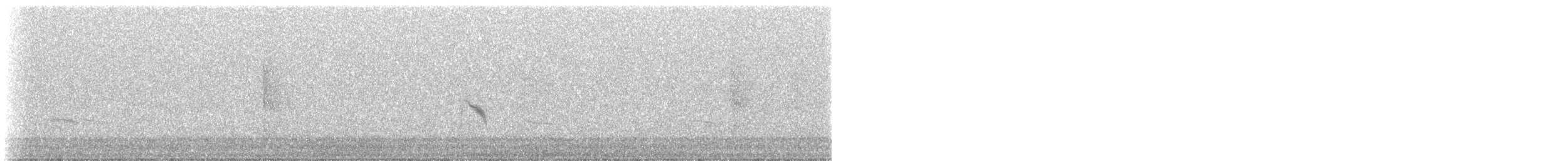 Gray-cheeked Thrush - ML644172631