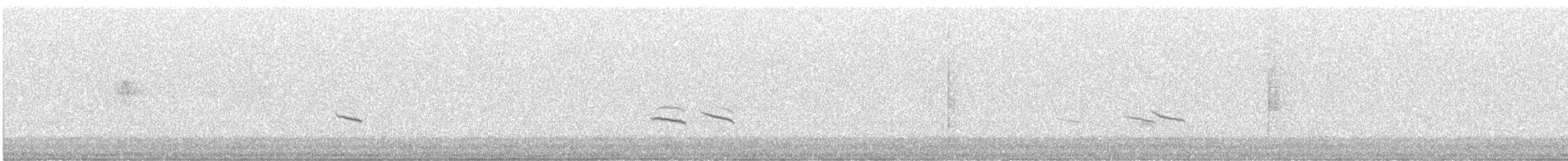 Hermit Thrush - ML644172652