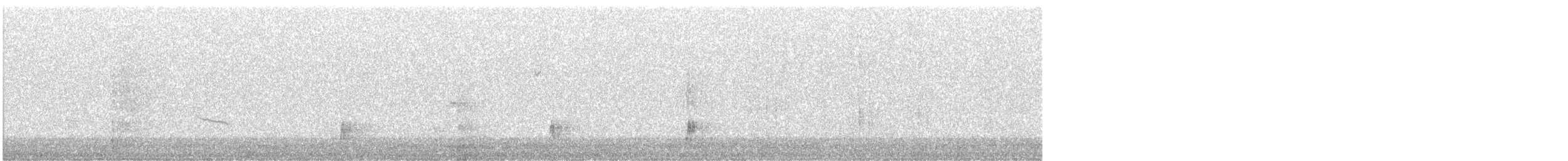 Hermit Thrush - ML644172693