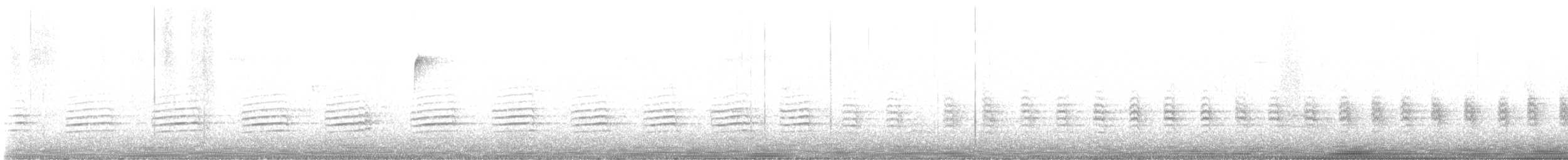 brhlík americký - ML644174059