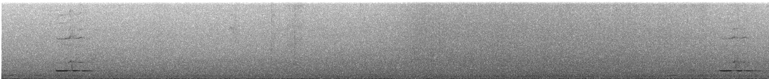 Solitary Black Cacique - ML644175164