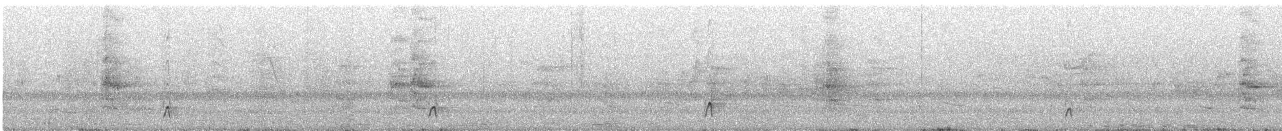 ハシグロムジツグミ - ML644175560