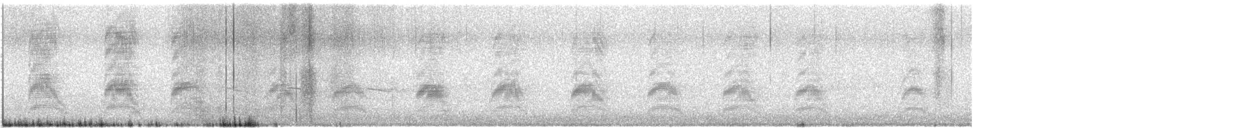 Bonaparte's Gull - ML644177207