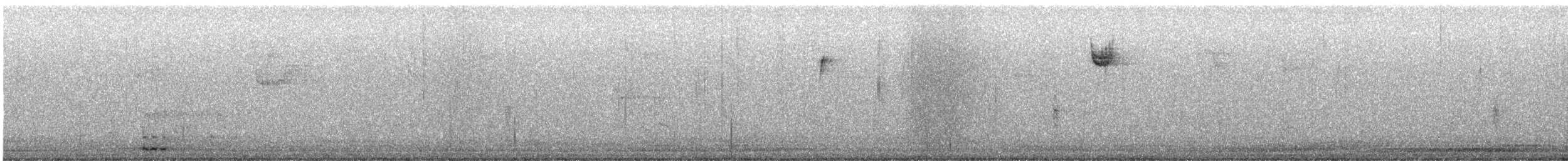 Зэрлэг гургуул - ML644178214