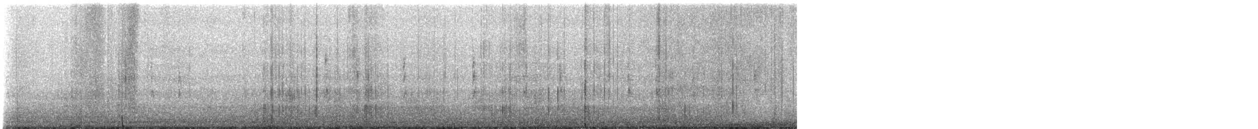 フユミソサザイ - ML644178216