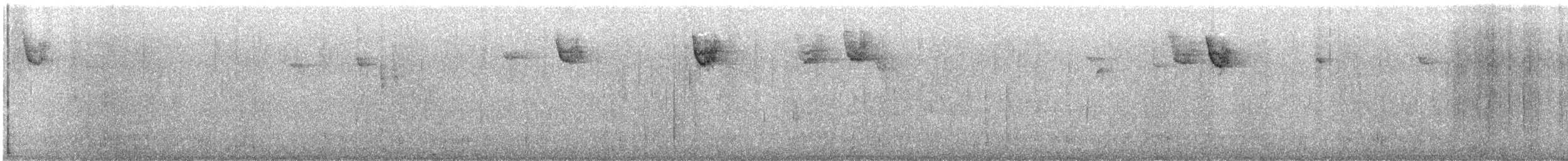 ノドジロシトド - ML644178277