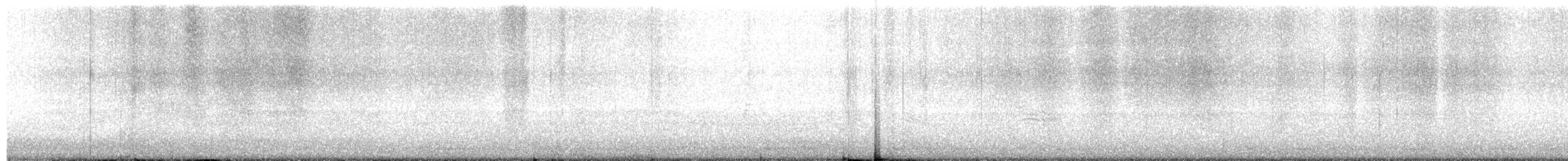 Koartza hauskara amerikarra - ML644179241