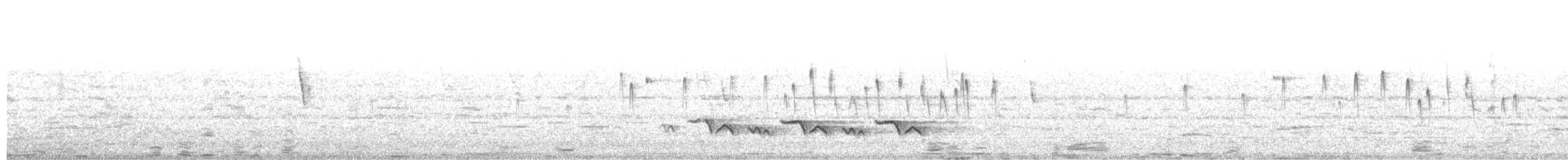 Vencejo de Tormenta - ML644179310