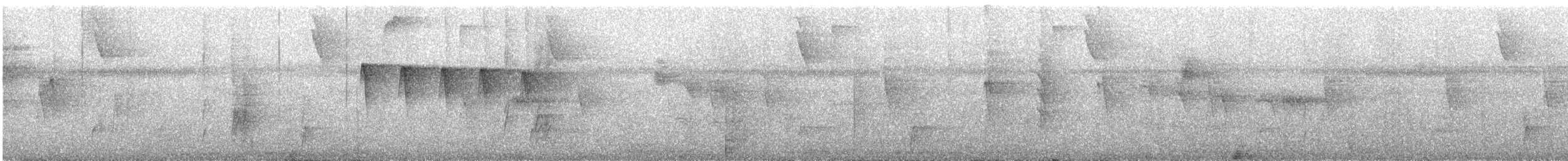 ホシノドヒメアリサザイ - ML644180047