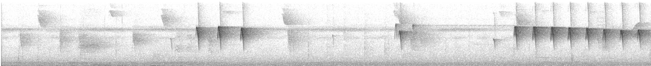 ホシノドヒメアリサザイ - ML644180048