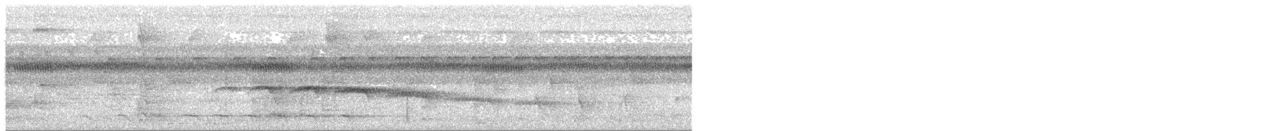 Black-faced Antbird - ML644180400