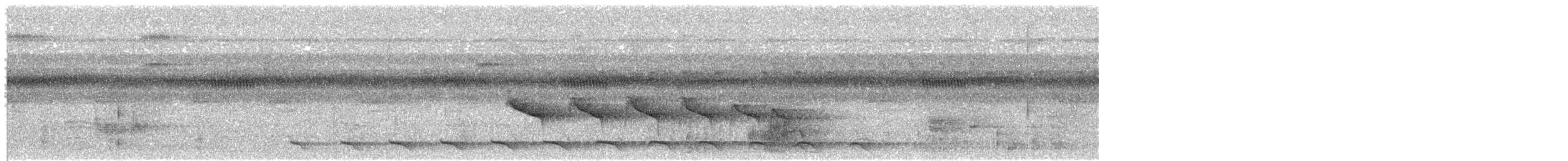 Duida Woodcreeper - ML644180756