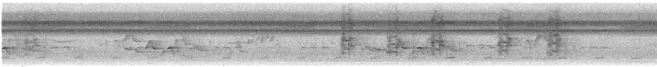 クリムネマユミソサザイ - ML644180839