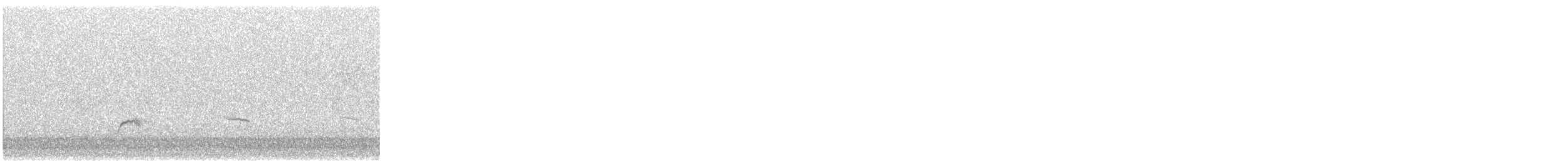 Swainson's Thrush - ML644181058