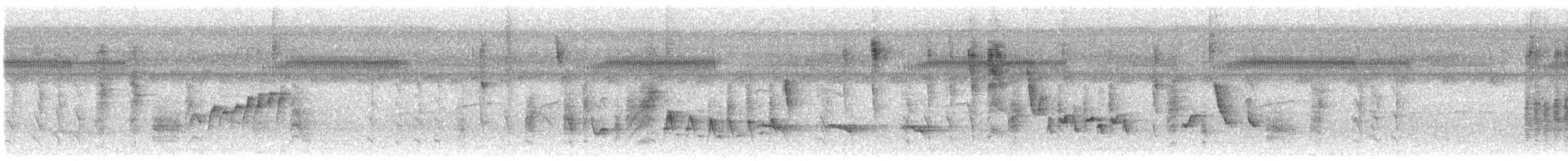 Bindenameisenwürger - ML644181142
