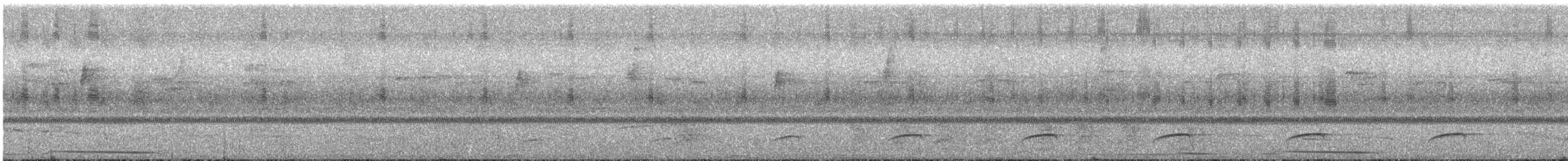 Dull-capped Attila - ML644181255