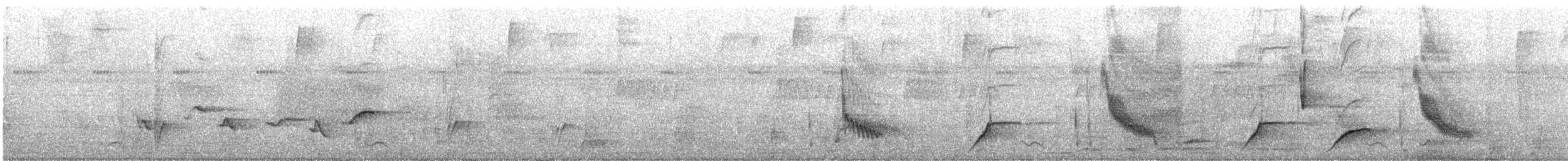 Black-cowled Oriole - ML644182765