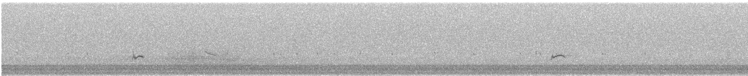 bird sp. - ML644183317