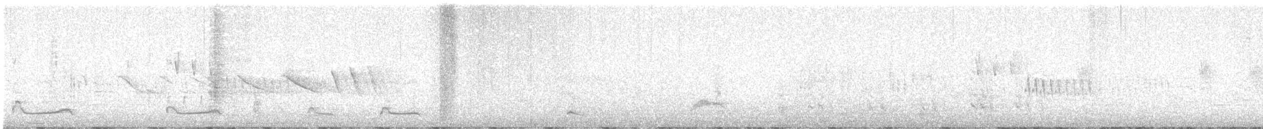 kachna bronzovokřídlá - ML644183446