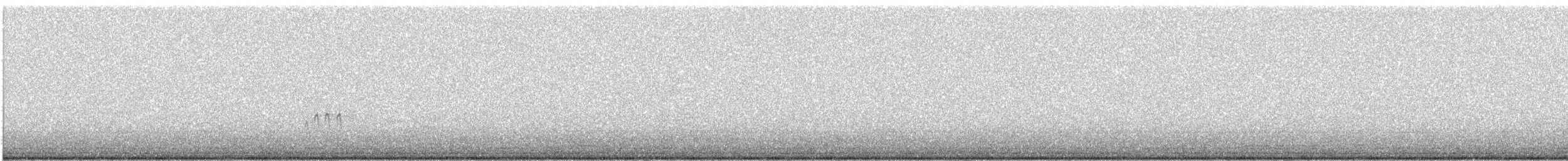 Elur-berdantza - ML644184572