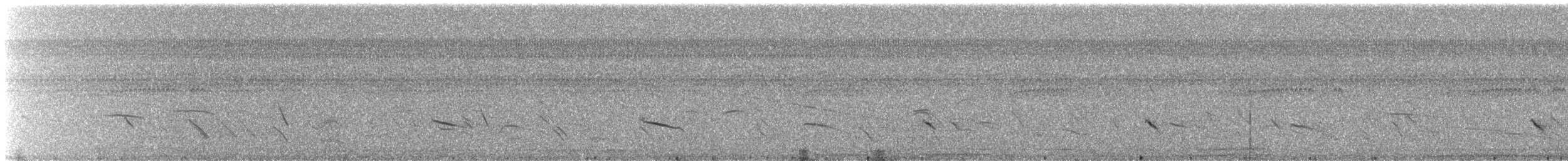 Chopi Blackbird - ML644185177