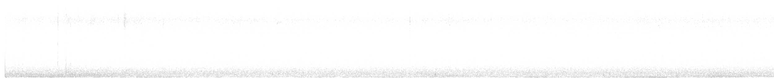 Corneille d'Amérique - ML644185358